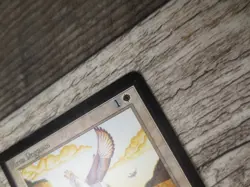 Magic The Gathering MTG Mesa Pegasus Beta Limited Edition LP Excellent Ungraded - Image 4