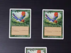 Mtg Magic The Gathering Bird Of Paradise Japan Edition 2-Piece Set - Image 1