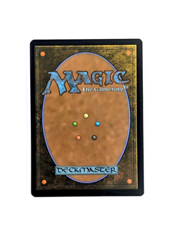 Terrasymbiosis R 0312 Borderless REGULAR MTG Edge Of Eternities EOE EN NM/M - Image 2