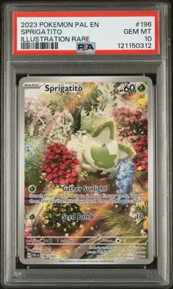 Pokemon TCG Sprigatito SVI Paldea Evolved 196/193 PSA 10 - Image 1