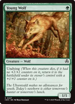 FOIL YOUNG WOLF x4 mtg LP-NM Innistrad Remastered 4 Common - Image 1