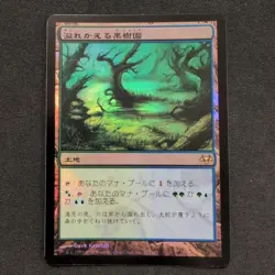 MtG Overflowing Orchard Eve Foil Japan Edition Card - Image 1