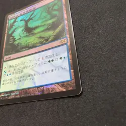 MtG Overflowing Orchard Eve Foil Japan Edition Card - Image 3