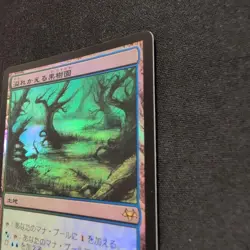 MtG Overflowing Orchard Eve Foil Japan Edition Card - Image 5