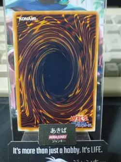 B. Dragon Jungle King Yugioh Yu-Gi-Oh Konami OCG JAPAN - Image 3