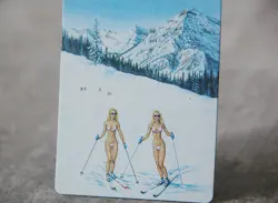 80's Taiga Ski Weekend II - Satirical Fan Art Dual land MTG - Image 2