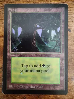 MTG Beta Forest ⭐VLP Version C (Eyes Dark) ⭐10 HQ PICS!⭐ 1993 Basic Land Magic - Image 1