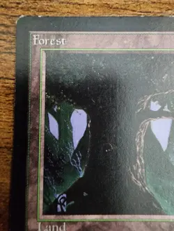 MTG Beta Forest ⭐VLP Version C (Eyes Dark) ⭐10 HQ PICS!⭐ 1993 Basic Land Magic - Image 4