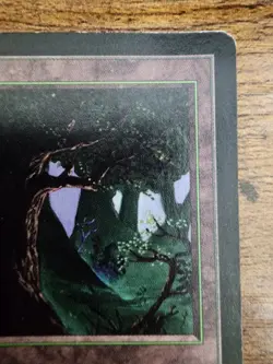 MTG Beta Forest ⭐VLP Version C (Eyes Dark) ⭐10 HQ PICS!⭐ 1993 Basic Land Magic - Image 5