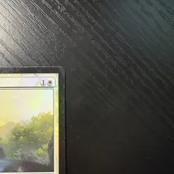 Sentinel Sliver Foil MTG Core Set 2014(M14) #30 LP - Image 3