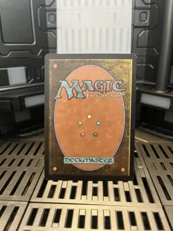 Seedtime Judgment Regular - Image 2