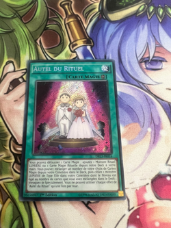 RITUAL SANCTUARY FRENCH SECRET RARE DRL3-EN016 FR016 LIGHT PLAY YUGIOH - Image 1