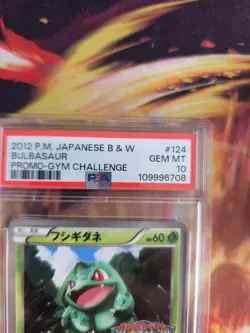 Pokemon Card Bulbasaur BW Gym Challenge Promo Bisasam Black Star Japanese PSA 10 - Image 4