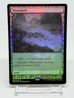 MTG EXP Wasteland English 276331 - Image 1