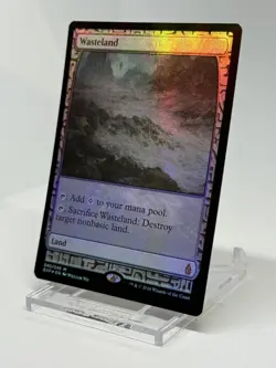MTG EXP Wasteland English 276331 - Image 3