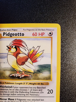 Pokemon Card: Pidgeotto Shadowless 22/102 Base Set Rare 1999 WOTC - Image 3