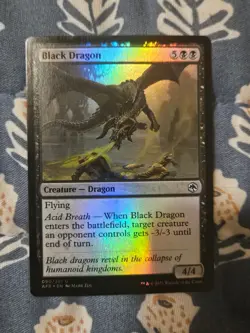 Black Dragon FOIL Forgotten Realms MTG Magic - Image 2