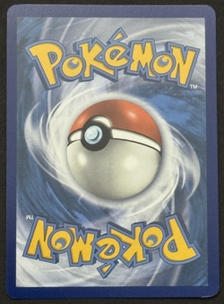 Chewtle Reverse Holo - 026/072- Shining Fates Pokemon - Image 2