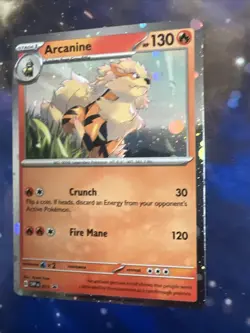 Arcanine SVP011 - SV Black Star Promo - Pokemon Card - Near Mint -SWIRL - Image 3