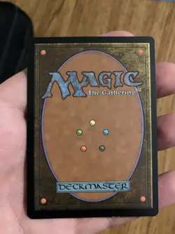 Nut Collector- Odyssey- MTG MAGIC THE GATHERING- Near Mint - Image 3