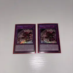 Yu-Gi-Oh! Dominus Purge 2X Secret Rare 1st Edition Near Mint Condition - Image 2
