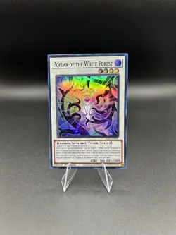 YU-GI-OH! Poplar Of The White Forest ALIN-EN041 Super Rare - Image 1