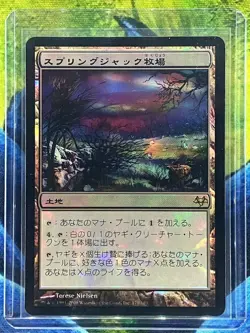 MTG Springjack Pasture Eventide Japanese Near Mint Foil - Image 1