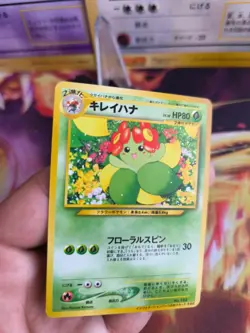 Pokemon Karte Card Blubella Bellossom Information Pack Promo Wotc japanese NM+ - Image 2