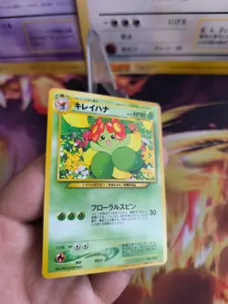 Pokemon Karte Card Blubella Bellossom Information Pack Promo Wotc japanese NM+ - Image 4