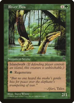 MTG - River Boa - Visions - X1 - (LP) - - Image 1