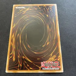 Fluffal Cat - NECH-EN019 - Common - Mixed Editions - YuGiOh - Image 5