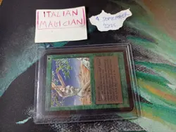 Magic: SHANODYN DRYADS Limited Alpha MTG - 1993 - Image 3