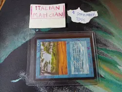 Magic: PHANTASMAL TERRAIN Limited Alpha MTG Old School VINTAGE 1st Edition - Image 3