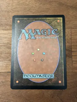 MTG Notion Thief Korean Gatecrash Magic The Gathering - Image 2