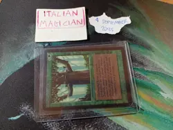 Magic: IRONROOT TREEFOLK Limited Alpha MTG Old School VINTAGE 1st Edition - Image 3