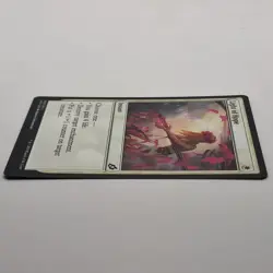 MTG: Light of Hope 020/274 - Ikoria Lair of Behemoths 2020 White Common (2) - Image 4