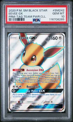 2020 Pokemon SM Black Star Promo Eevee GX #SM242 PROMO TAG Team PSA 10 SM 242 - Image 1