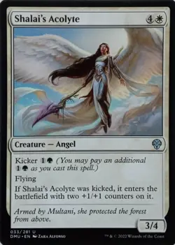 033/281 SHALAI'S ACOLYTE UNCOMMON DOMINARIA UNITED MTG CARD - Image 1