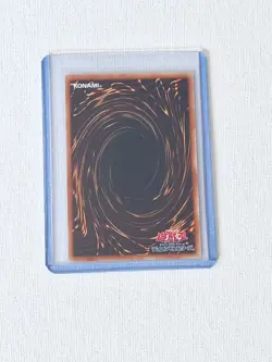 Dinomorphia Rexterm (DIFO-JP038) Super Rare Dimension Force Japanese YuGiOh Card - Image 2