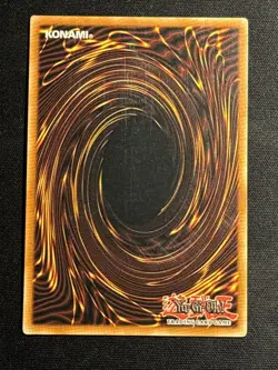 Dark Paladin DMG-001 Limited Edition Yu-Gi-Oh Secret Rare Promo Card Played MP - Image 2