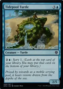069/281 TIDEPOOL TURTLE COMMON DOMINARIA UNITED MTG CARD - Image 1