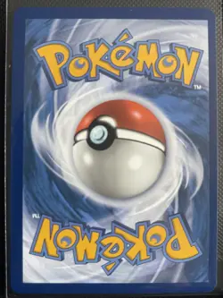 Sun Seed 027/034 Classic Collection CLV Holo Pokemon Card Near Mint - Image 2