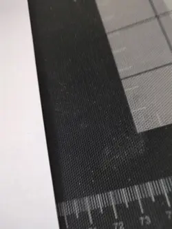 MTG Restless Prairie (281/491) The Lost Caverns of Ixalan LP FOIL - Image 2