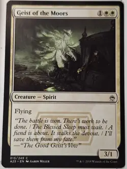 Geist of the Moors - Masters 25 - Magic the Gathering MTG Nice! - Image 1