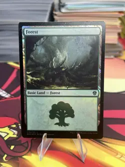 1x Forest (276/281) - Foil MTG Dominaria United MP Magic Foil - Image 1