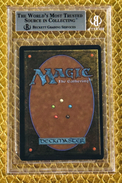 1993 MTG Arabian Nights Wyluli Wolf C1 G Light 1 - Graded BGS 8.5 NM/MINT+ - Image 2