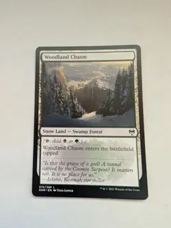 Woodland Chasm Kaldheim Regular MTG - Image 1