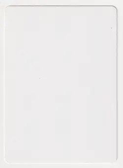 Signed Savannah Lions Proof MP 9th Edition Artist Carl Critchlow MTG Magic AP! - Image 2