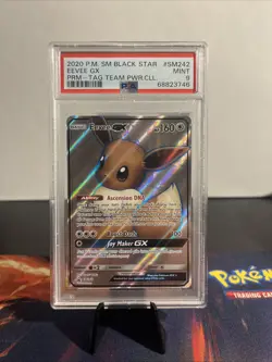 Pokemon TCG 2020 Pokemon SM Black Star Promo Eevee GX #SM242 PSA 9 - Image 1
