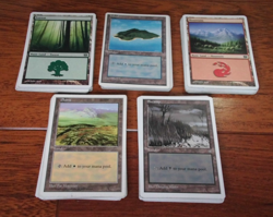 100 Basic Land Lot 20 of Each Type White Border ONLY MTG Magic TexasNerdGames - Image 1